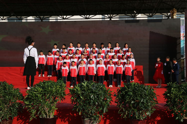 1572315812968006059.png 图片12.png